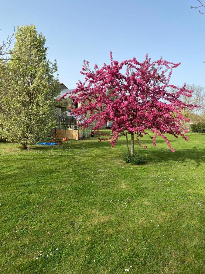 No5 Chambre D'Hotes Courcome Zewnętrze zdjęcie