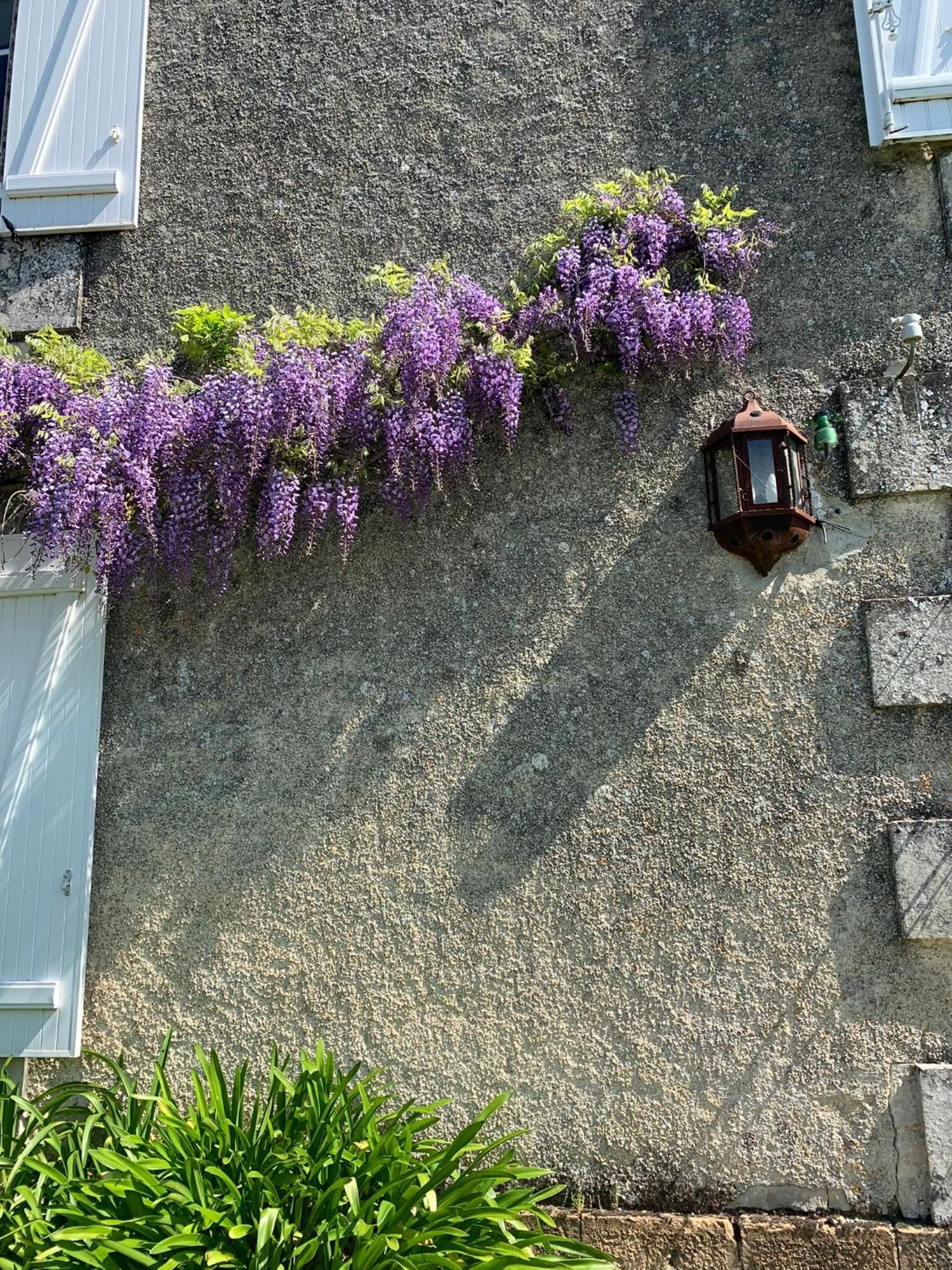 No5 Chambre D'Hotes Courcome Zewnętrze zdjęcie